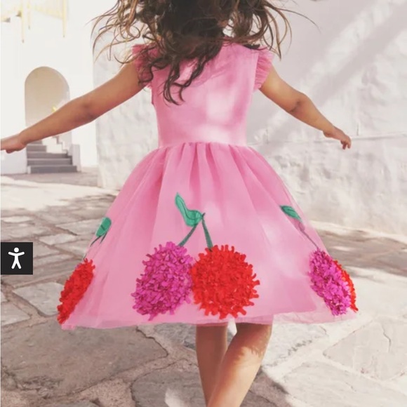 NEW Mini Boden Jersey Tulle Cherry Appliqué Dress 2-3 Years - Picture 7 of 9